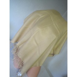 pashminette Top stav